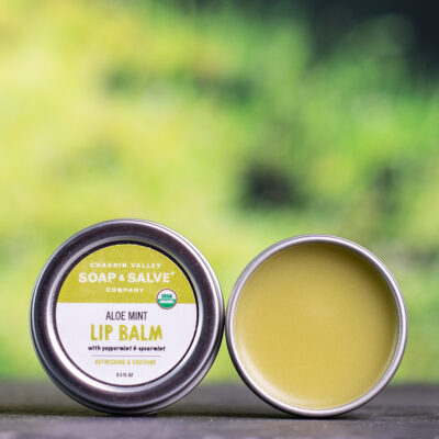 Organic Lip Balm - Aloe Mint .5 fl oz-1